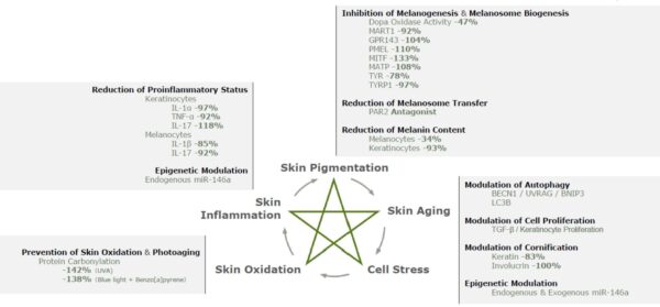 MezoCrystal Highlighter Serum - MezoCrystal sära andev seerum - Image 3